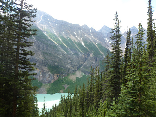 LAS ROCOSAS DE CANADA. YELLOWSTONE Y GRAND TETON. - Blogs de Canada - Lake Louise. Ruta combinada de Lake Agnes y Plain of Six Glaciers. 2 de Julio (3)