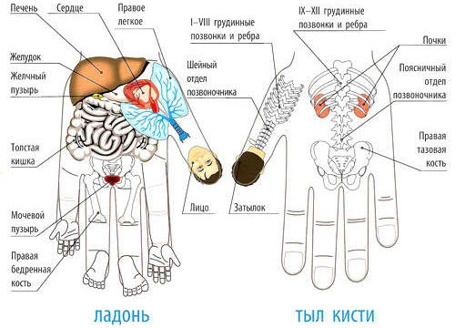 Основная система соответствия кисти