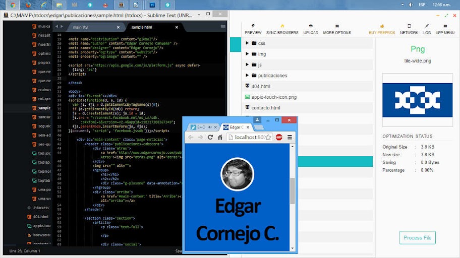 Desarrollo Web Front-end