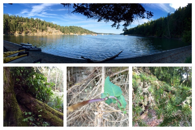 April's Adventures in the San Juan Islands - Day 4