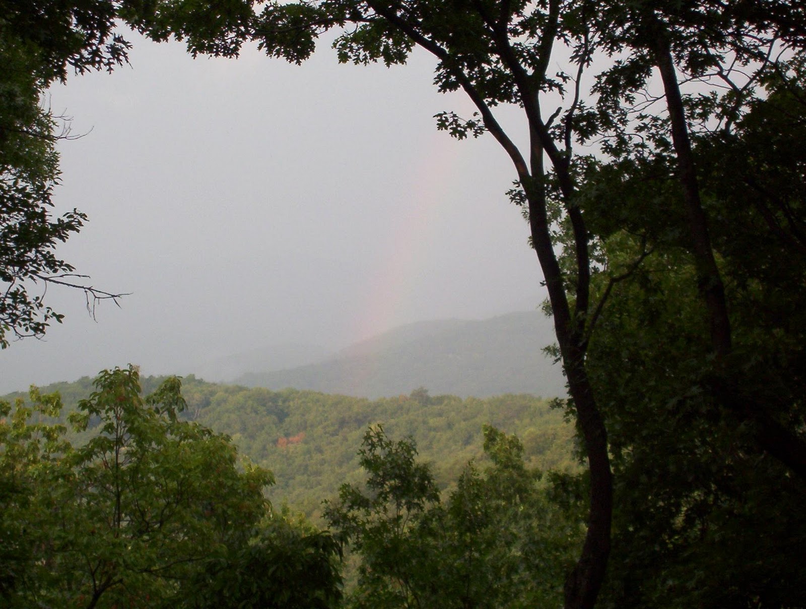 Photos from Charlie Ragonesi Big Canoe, Jasper, North Georgia Pros