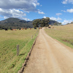 Walking through farm land in Congewai Valley (59801)