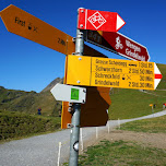 directional signs on the First Mountain in Grindelwald, Switzerland 