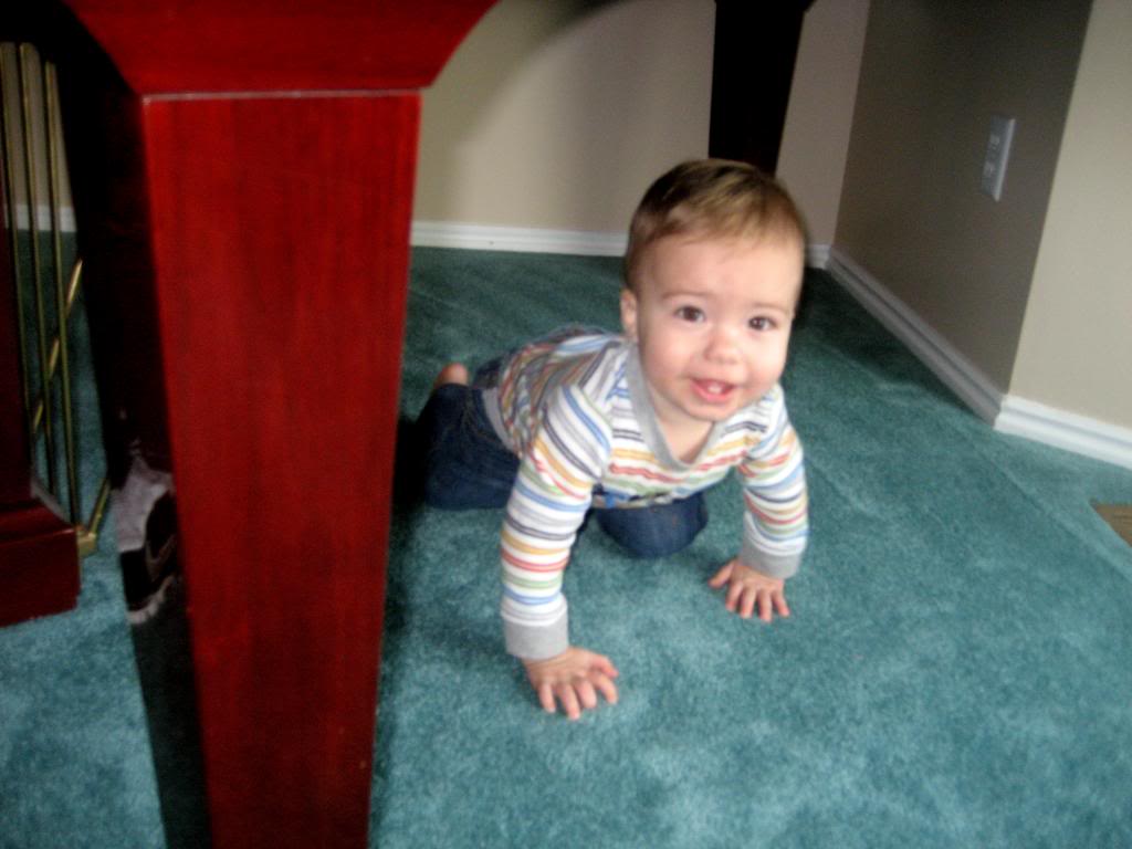 IMG_5424_zps0eaa2473.JPG IMG 5424 zps0eaa2473