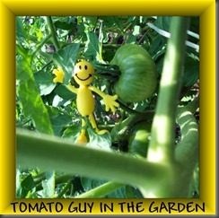 TOMATOGUYINTHEGARDEN