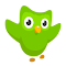 Imagem do logotipo de Duolingo na Web