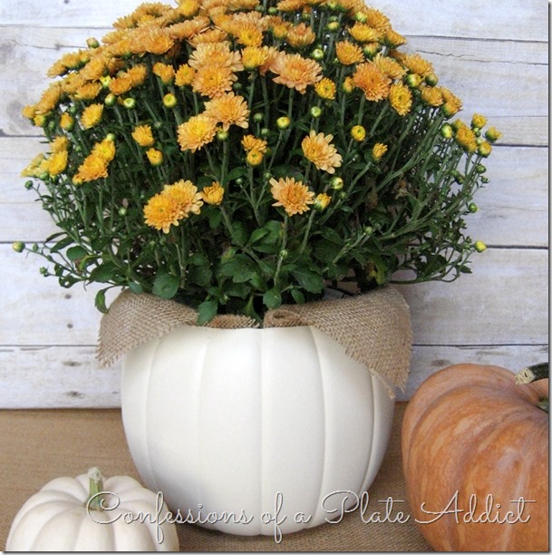 CONFESSIONS OF A PLATE ADDICT Easy and Inexpensive Faux Pumpkin Planter6 CONFESSIONS OF A PLATE ADDICT Easy and Inexpensive Faux Pumpkin Planter6