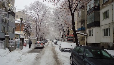 Photos of Ороингрос Оод