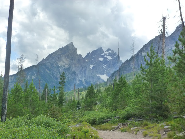 West Thumb, (PN Yellowstone) y Grand Teton. 15 Julio - LAS ROCOSAS DE CANADA. YELLOWSTONE Y GRAND TETON. (52)