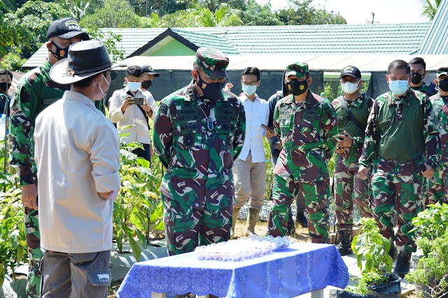 Dalam kunjungan kerja, Pangdam VI/Mulawarman Tinjau Demplot Kodim Kukar