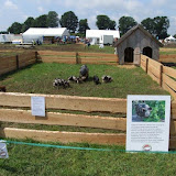 IJzerlo, Farm & Country Fair, 26 juni 2016 058.jpg