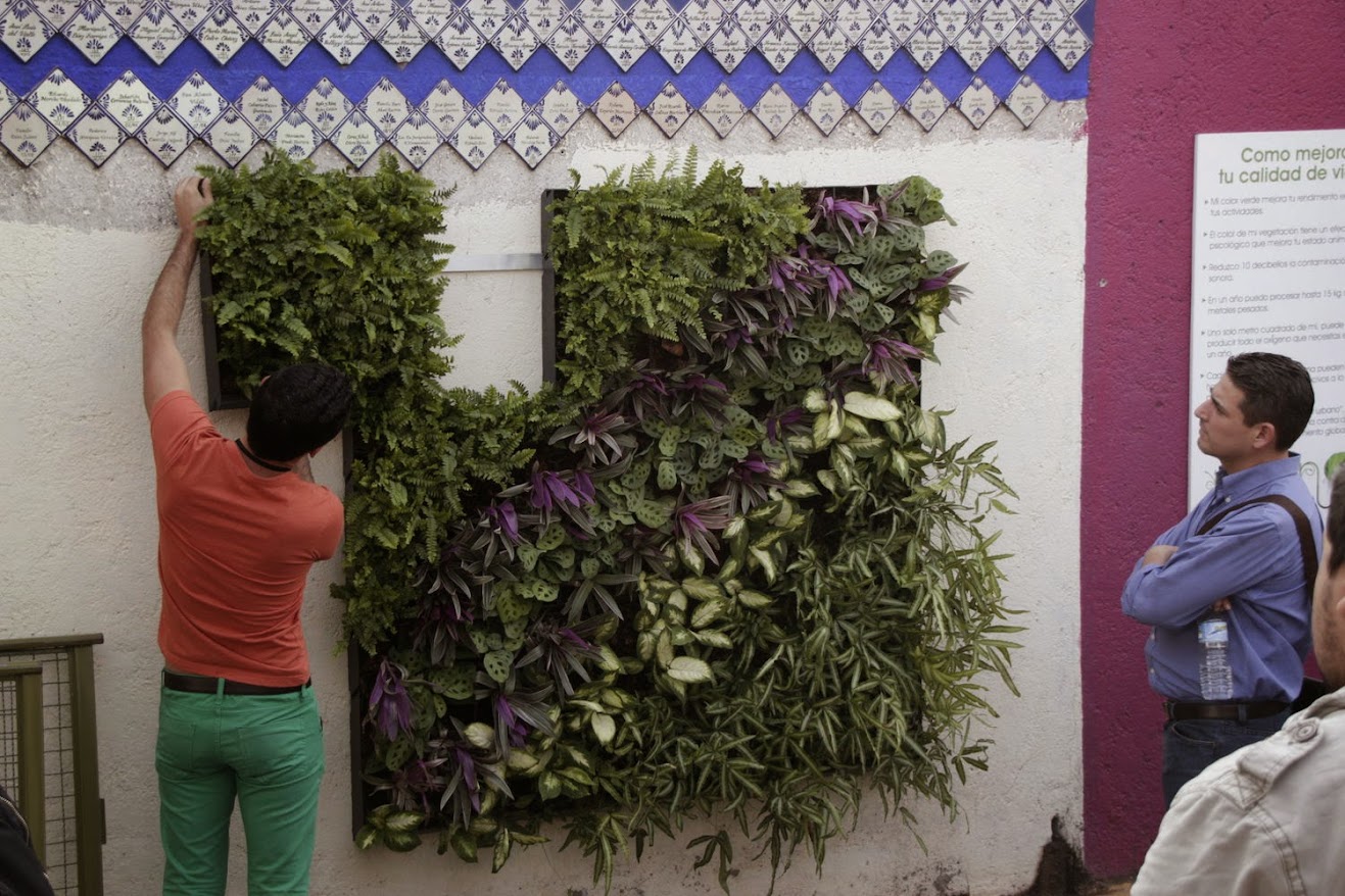 Cursos de jardines verticales de Puebla México