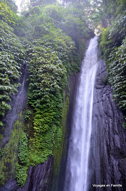 Red  coral waterfall - munduk