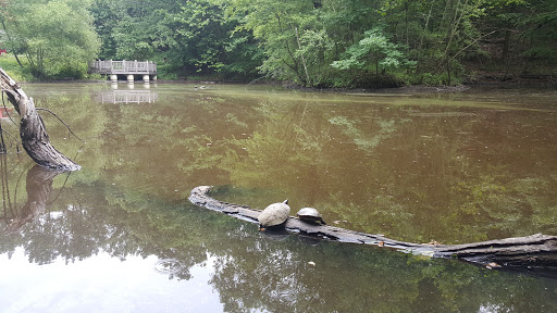 Nature Preserve «Flat Rock Brook Nature Center», reviews and photos, 443 Van Nostrand Ave, Englewood, NJ 07631, USA