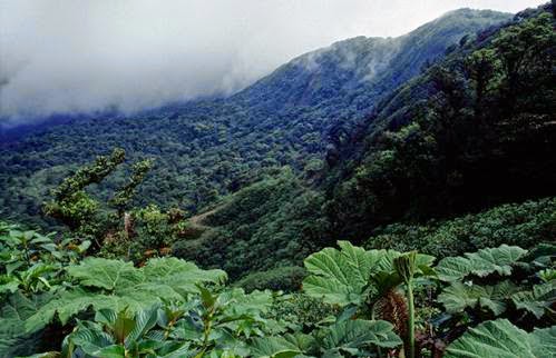 Costa Rica Runs Only On Renewable Energy