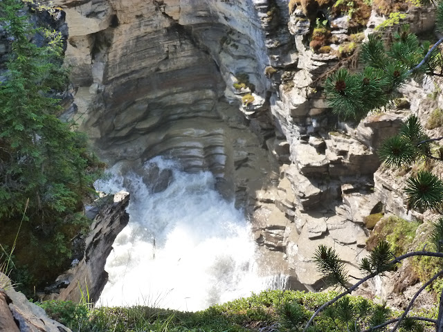 Icefields Parkway. De Jasper a Banff. 8 de Julio - LAS ROCOSAS DE CANADA. YELLOWSTONE Y GRAND TETON. (12)