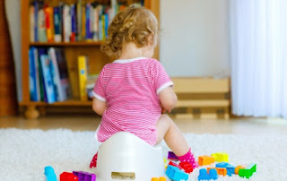 Cara Potty Training