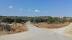 olive groves outside of the village