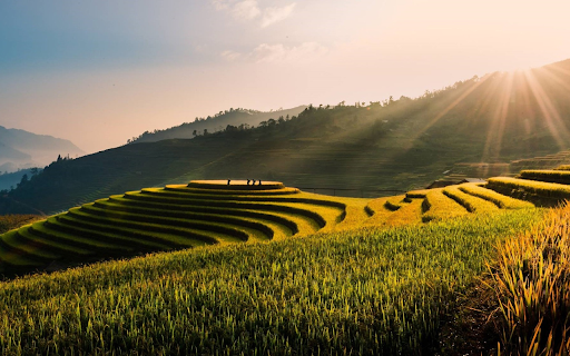 Nine terraced fields