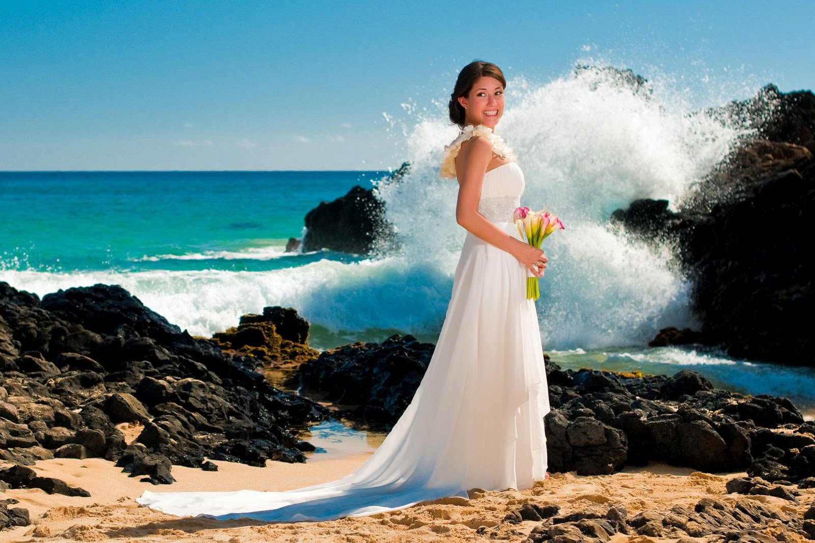 hawaii wedding folio