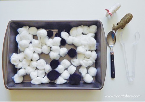 Montessori Inspired Sheep Wool Transfer Work Tray