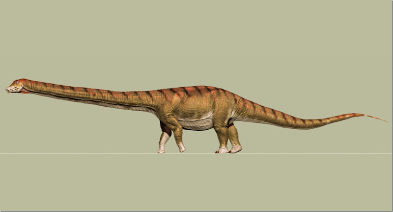 image_5121_1e-Patagotitan-mayorum