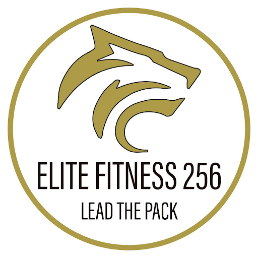 Elite Fitness 256