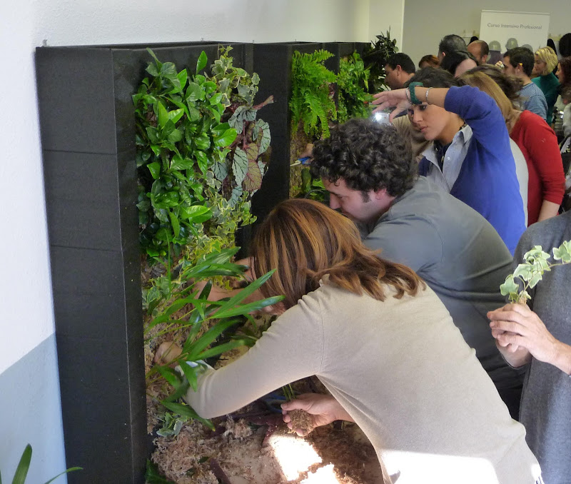 Curso Intensivo Formación Jardín Vertical Formación en Jardines Verticales