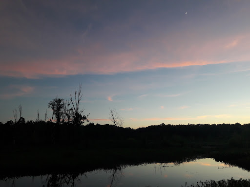 Nature Preserve «Lake Conestee Nature Park», reviews and photos, 601 Fork Shoals Rd, Greenville, SC 29605, USA