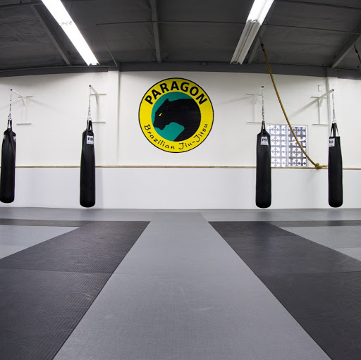 Paragon Academy Jiu Jitsu-Boxing-Kickboxing Gym logo