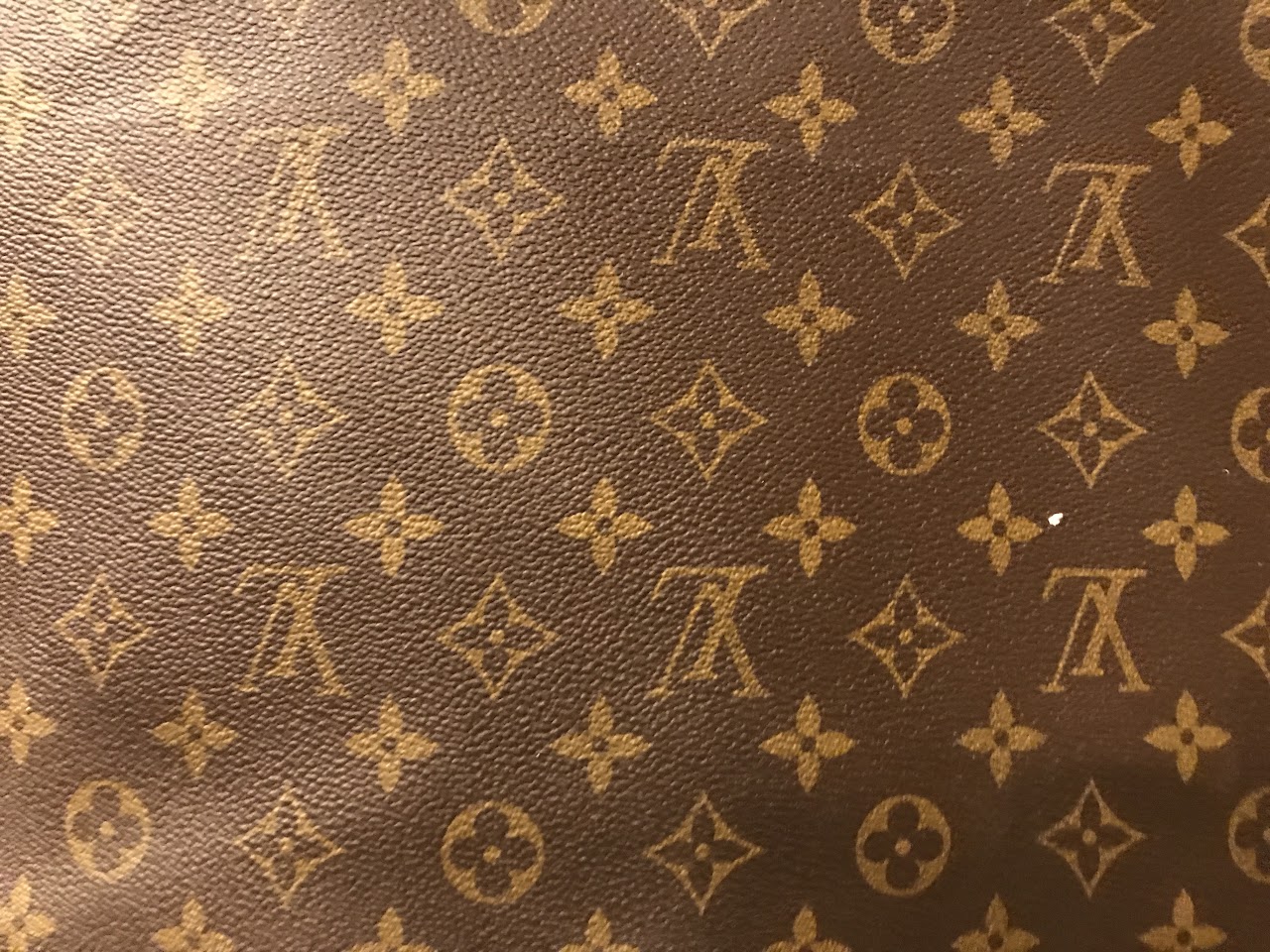 Louis Vuitton Garment Bag #1