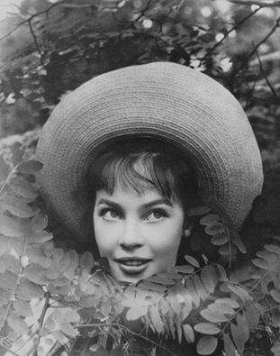 Leslie Caron Awesome Dp Images