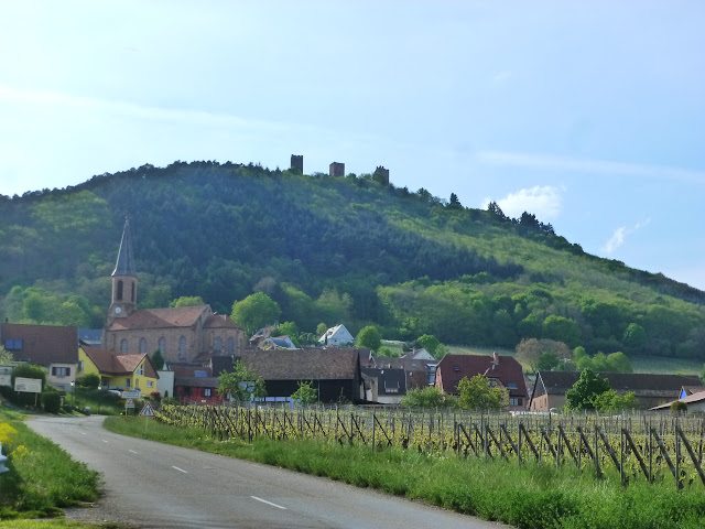 ALSACIA, o  COMO  VIAJAR POR UN MUNDO DE CUENTO, HISTORIA Y LEYENDA - Blogs de Francia - RUTA DE LAS CRESTAS. MUNSTER. GRAND BALLON. EGHISHEIM. RUTA CINCO CASTILLOS (40)