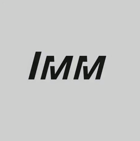 IMM FASHION logo