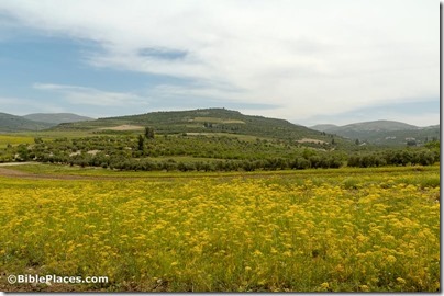 Samaria from west, tb050106488