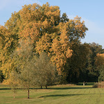 Parc de Méry-sur-Oise