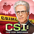 CSI: Hidden Crimes2.3.5