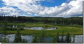 Dease River, Cassiar Highway