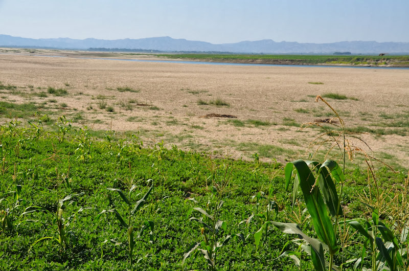 bagan