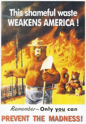 smokey bear