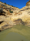 Pool in Good Water Canyon