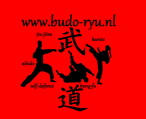 Budo-ryu.nl Arnhem Jiu Jitsu Karate Kungfu Zelfverdediging Ju jutsu Aikijutsu logo