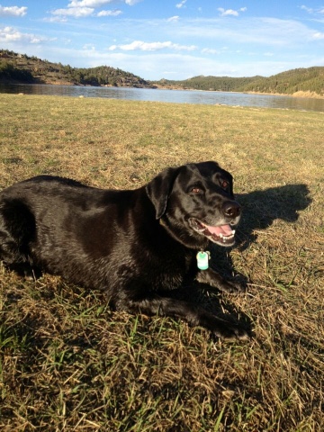 Barker Meadow 9th birthday