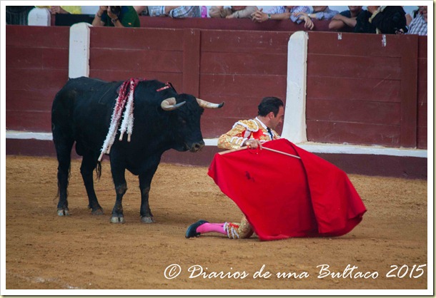 Toros Feria 2015-9815