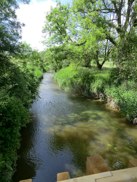 CIMG0509 The River Eden at Chiddingstone