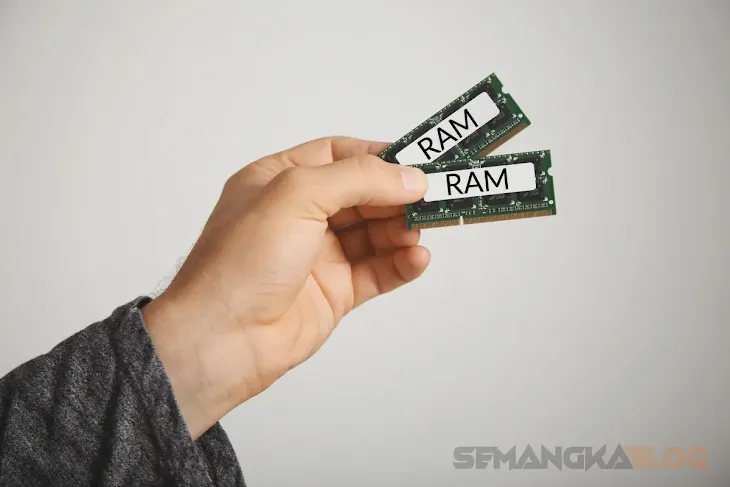 ram