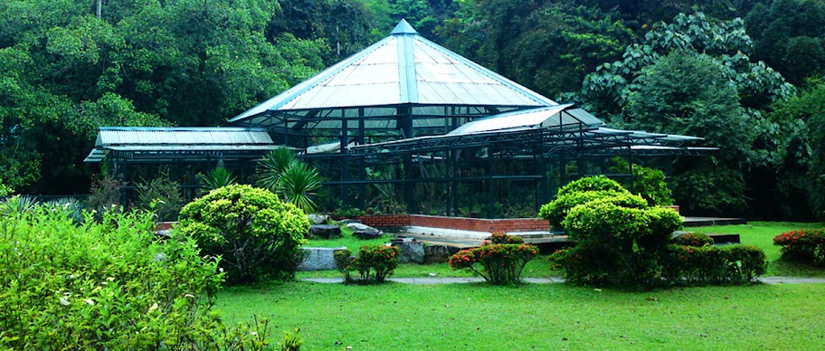 Penang Botanical Garden