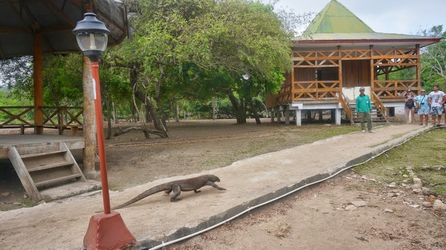 Марш энтузиастов. Ломбок-Гили-Круиз Komodo Adventures-Флорес-Бали.