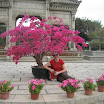 16abr macau2011 (153).JPG