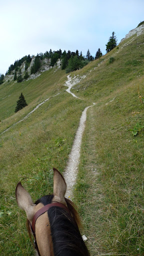 En rando dans le Vercors 118